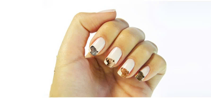 Mẫu nail capybara